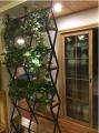 Стеллаж перегородка для гостиной (Loft) R49-79