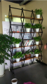 Стеллаж перегородка для гостиной (Loft) R49-79